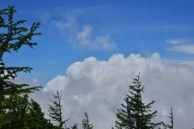 DSC_3608 (Large).JPG